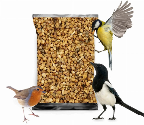 5kg erdnüsse gehackt - x,
